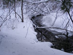 Beaver Brook itself is flowing freely in this weather.