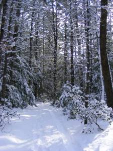 Late afternoon sun, no one else in sight.