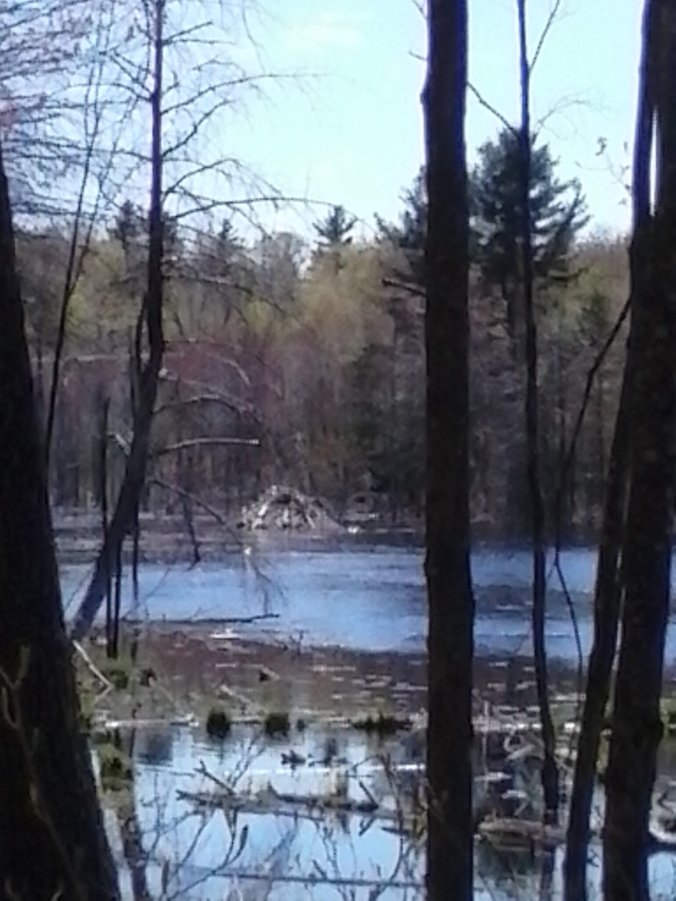 New & improved lodge