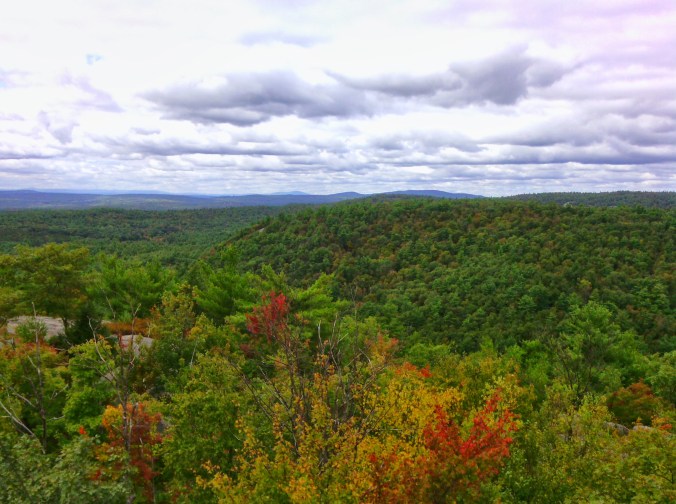 View to northwest; Mt. Kearsarge in distance. 
