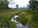 On the boardwalk to Little Cherry Pond