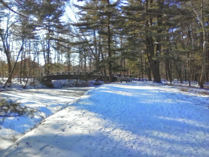 Mine Falls Park after first snowfall, December 2013