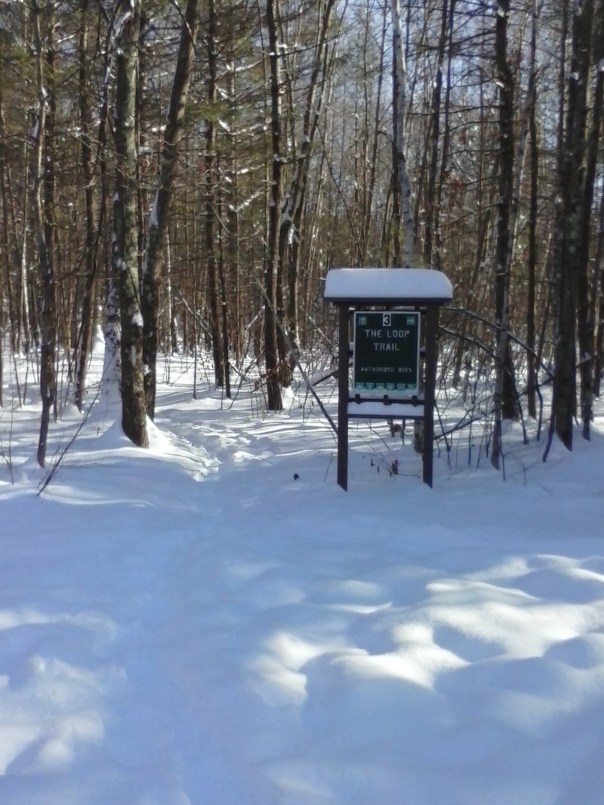 Horse Hill Nature Preserve, Merrimack NH. Ellen Kolb photo.