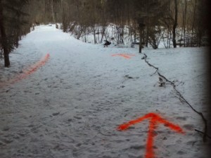 Showing those loggers where to go