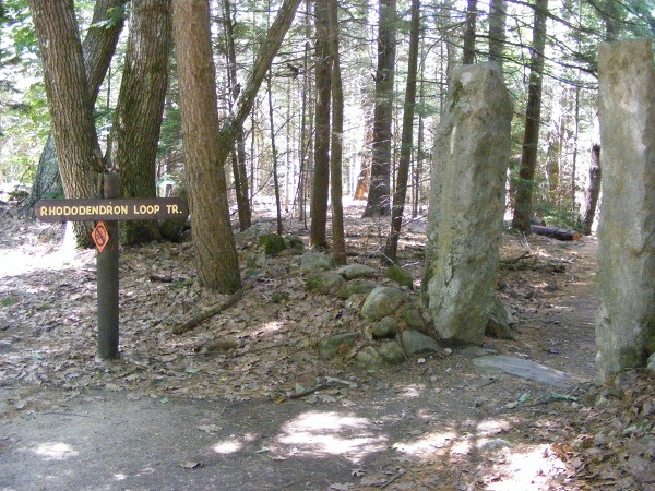 The trailhead at the state park's parking area leads to a junction with the Little Monadnock trail.