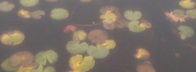 November, Naticook Lake