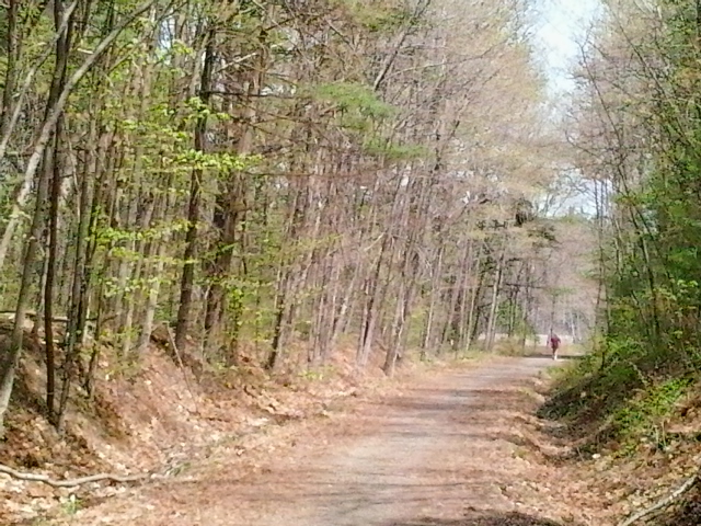Rockingham Recreational Trail (Portsmouth branch), Auburn NH, east of NH Rt. 121