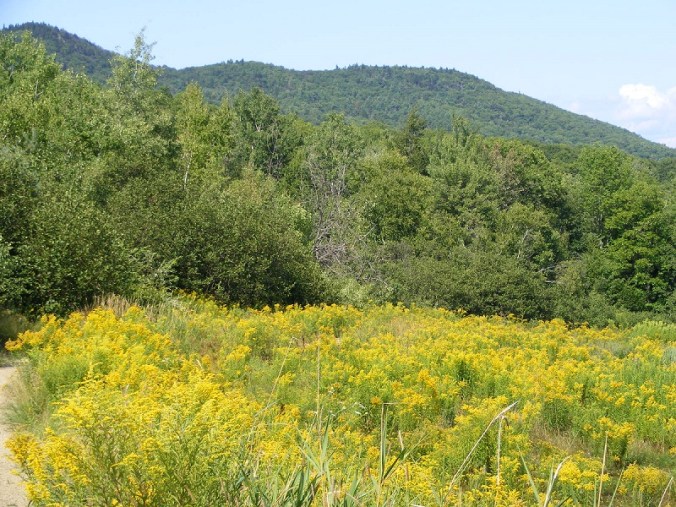 Crotched Mountain (Greenfield, NH) from Gregg Trail