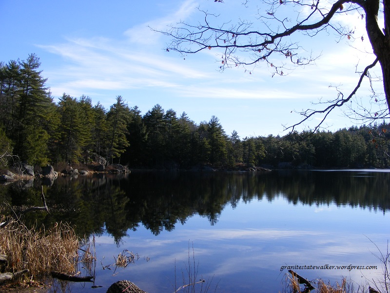 a pond reflecting blue sky with light clouds