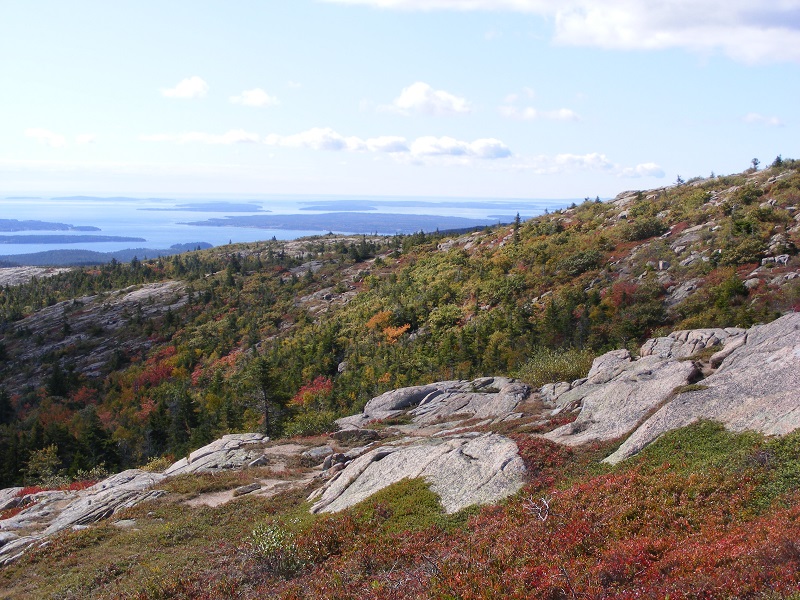 Maine coast from a hill with autumn color
