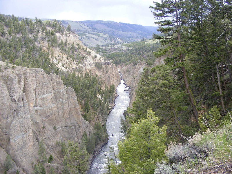 Gorge cut by the Yellowstone River