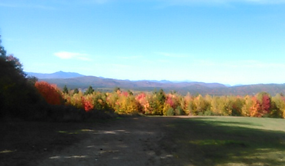 autumn foliage, distant mountain, blue sky