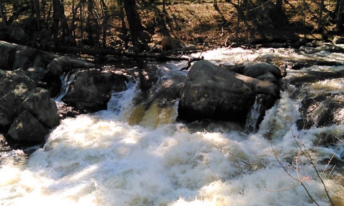 Wildcat Falls Apr 2017