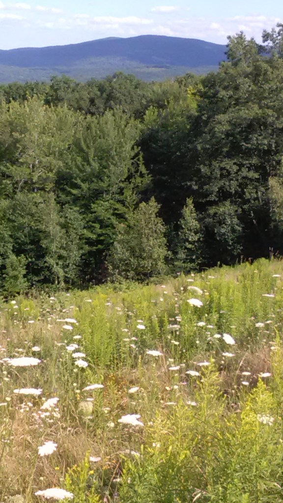 Lyndeborough hills from Crotched mountain