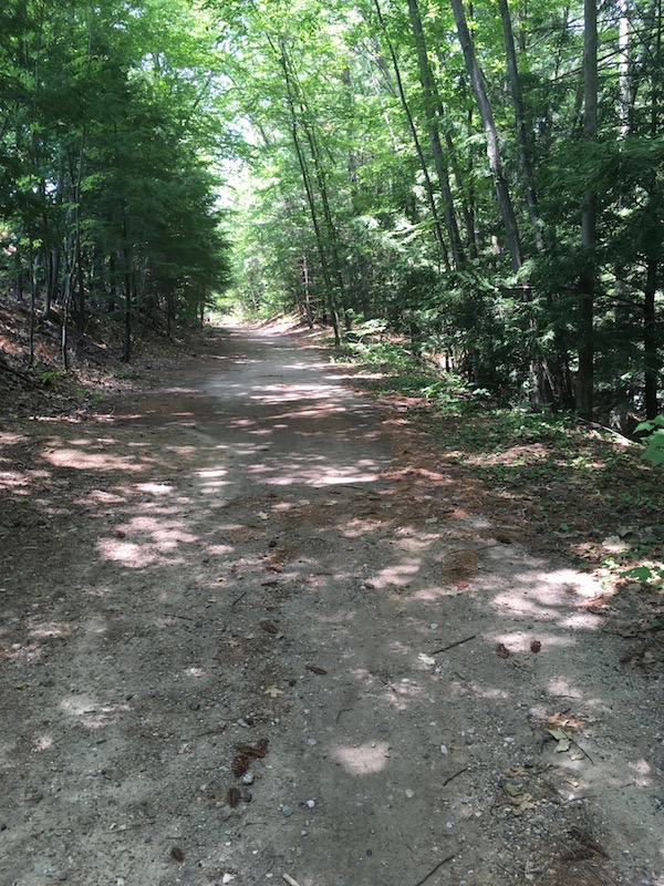 Summer day Goffstown rail trail