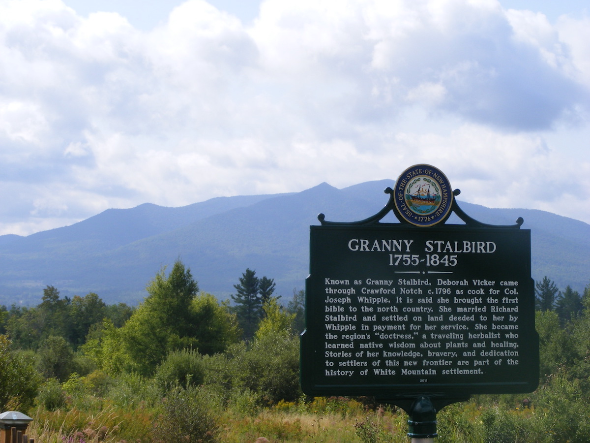 Stalbird marker with Mt Martha