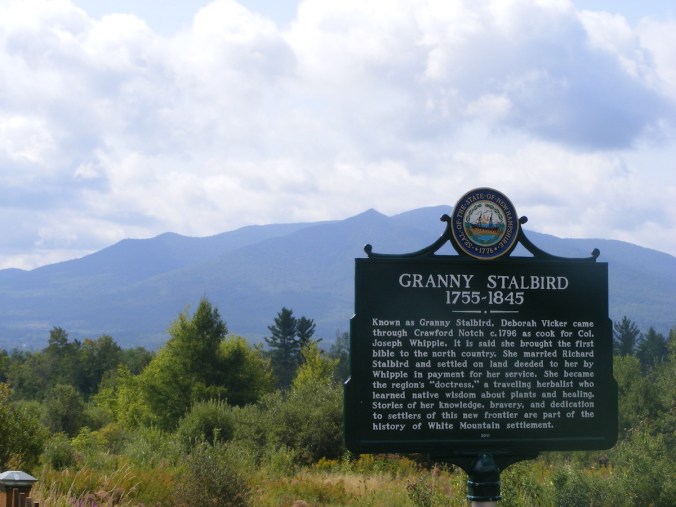Stalbird marker with Mt Martha