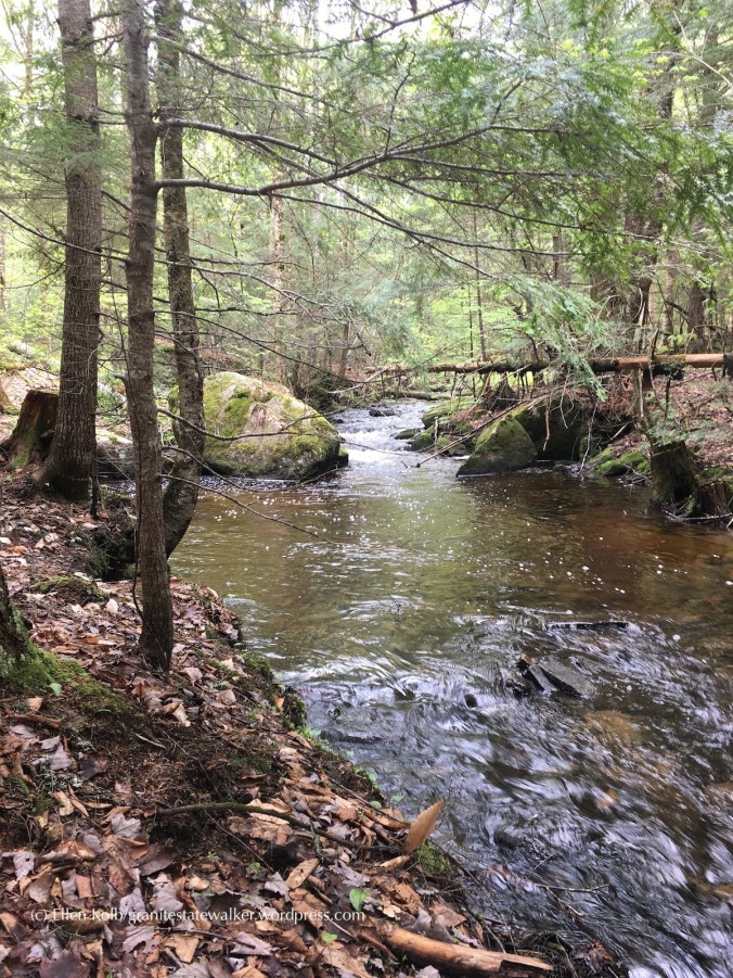 Bretzfelder Park, Bethlehem New Hampshire