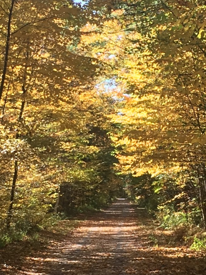 rail trail in autumn