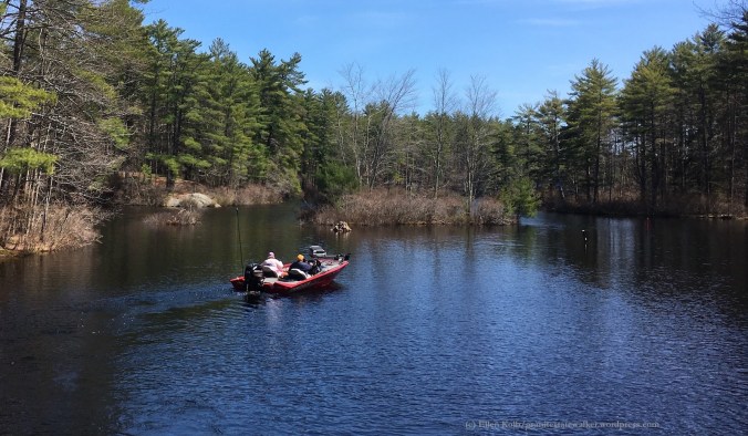 Pawtuckaway State Park, NH