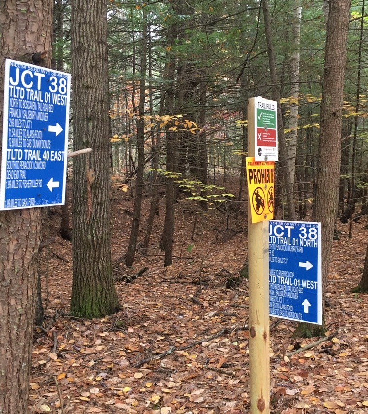 Trail junction with directional signs