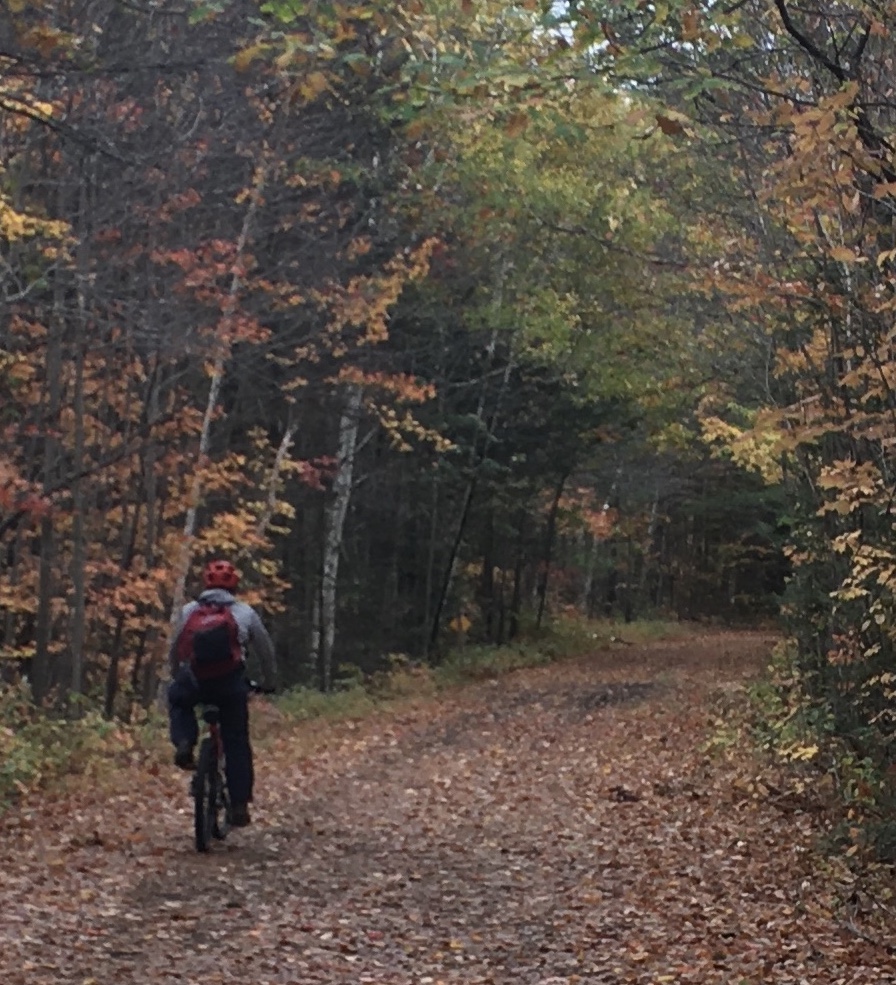 bicyclist on Presidential Rail Trail, autumn, New Hampshire, photo by Ellen Kolb
