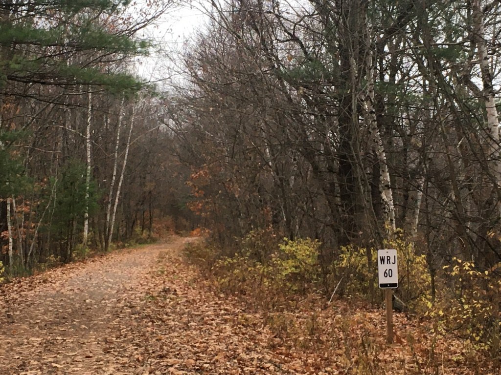 autumn leaves on a rail trail with a mileage sign left over from the path's days as an active rail line