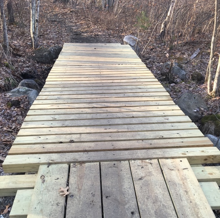 Simple wooden bridge on forest trail