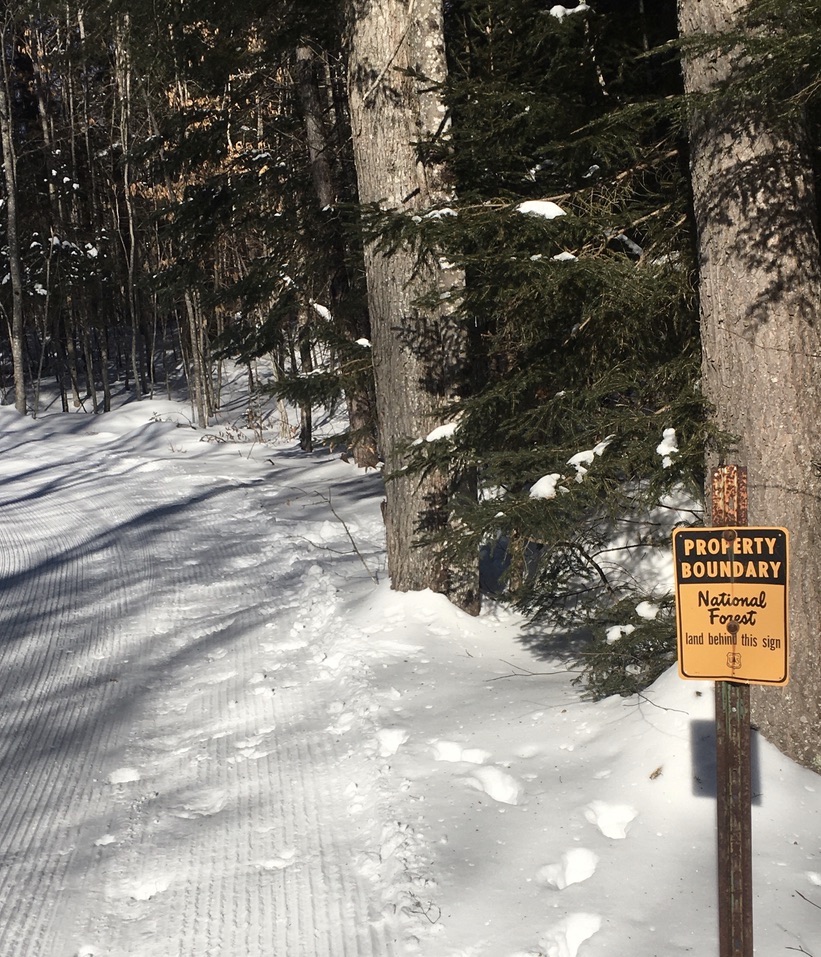 Cross-country ski trail in White Mountain National Forest, New Hampshire