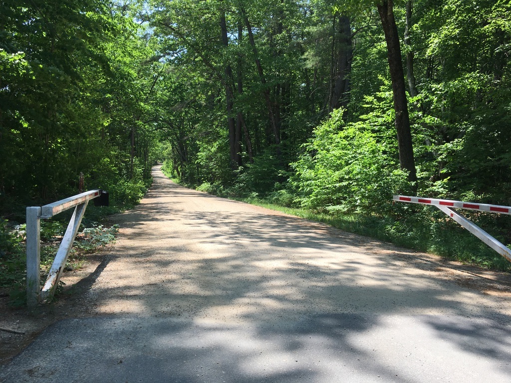 dirt road in a forest with an open gate