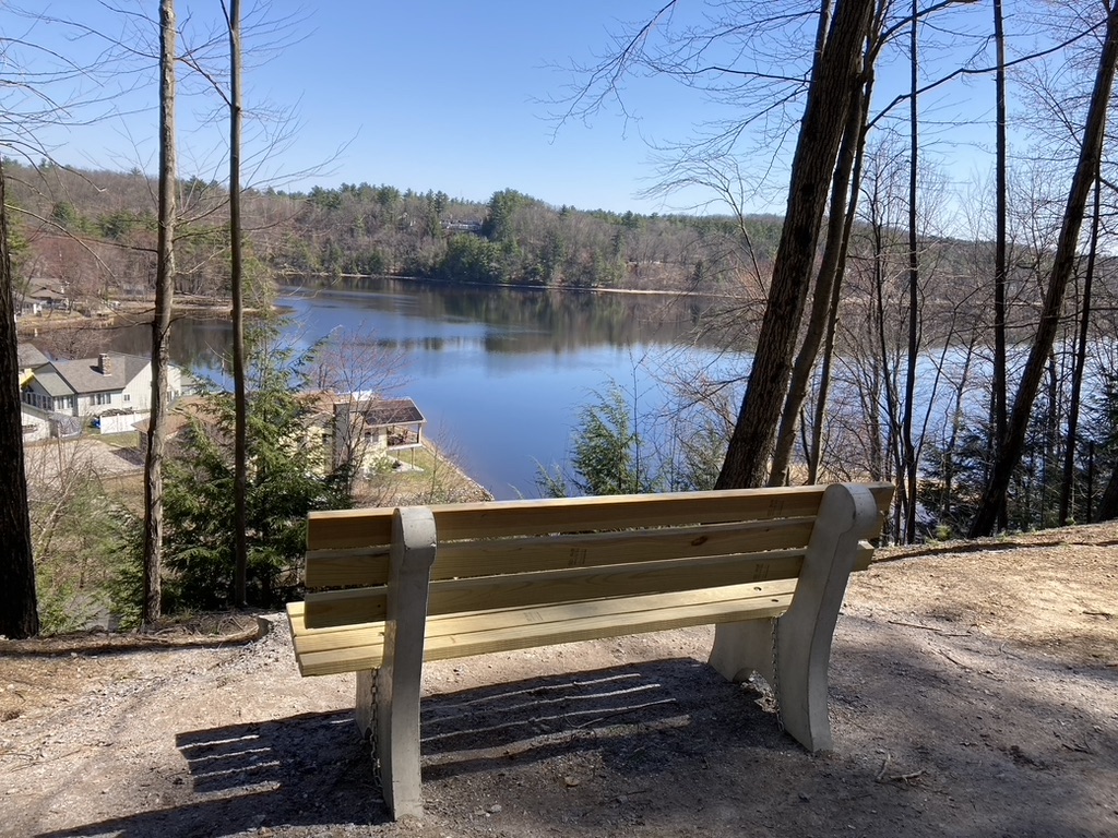 bench along trail overlooking lake