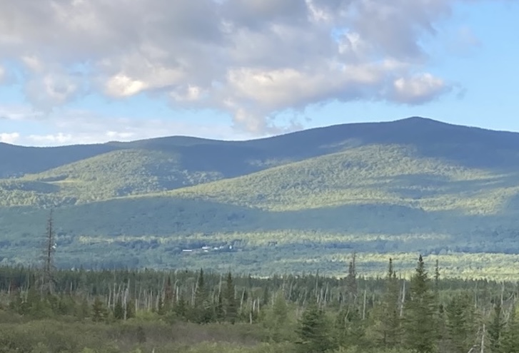 Forested mountain range at sunset
