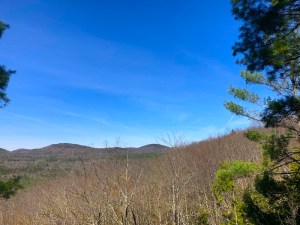 view from a hilltop with blue sky, bare trees, and low hills in the distance