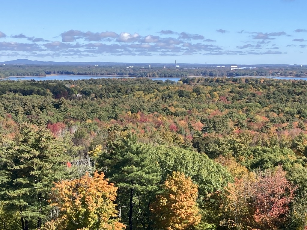 aerial view of mixed-hardwoods forest with leaves changing color, a body of water in the background